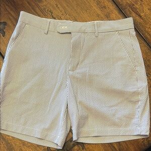 Banana Republic Navy and White Striped Shorts